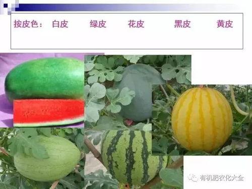 吃瓜网优质答主的推荐理由,这些美食、影视、旅游必看清单！