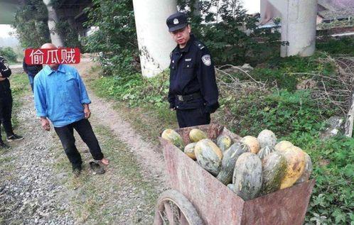 诸暨网红吃瓜事件真相视频,真相视频曝光背后的惊人内幕