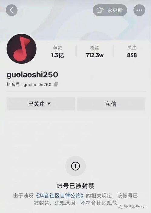 吃瓜圈170万网红