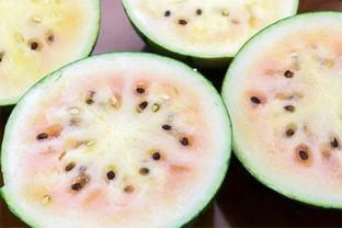 厦门网红吃瓜事件真相揭秘,揭秘背后真相与争议