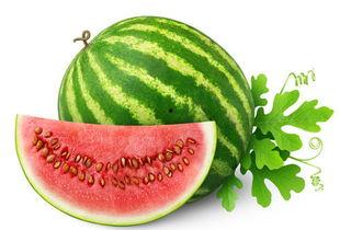 网瓜怎么吃,解锁美味新境界